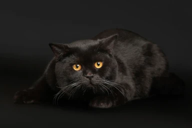 Здесь название новости, наша компания участвует в выставке Экспо-Про 2 — фото