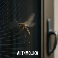 Рамочные/Вставные — "АНТИМОШКА" — фото