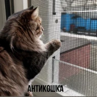 Рамочные/Вставные — "АНТИКОШКА" — фото
