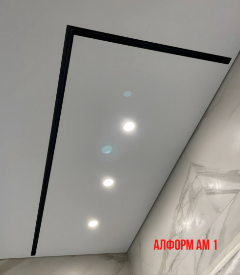 Профиль Алформ Парсек АМ 1 Карниз Однорядный — фото-604_6