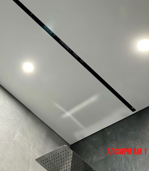 Профиль Алформ Парсек АМ 1 Карниз Однорядный — фото-604_7