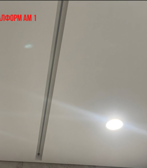 Профиль Алформ Парсек АМ 1 Карниз Однорядный — фото-604_8