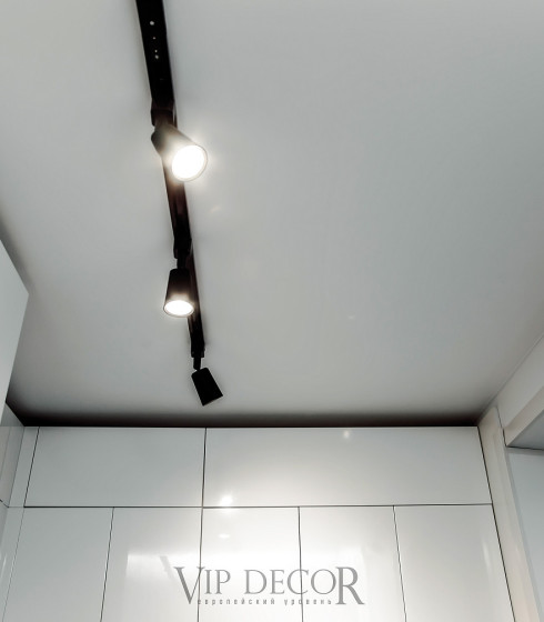 Однофазная трековая система — фото-646_4