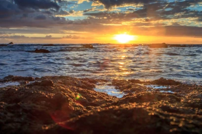 Москитные сетки — фото-52_2